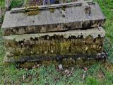 image of grave number 784682